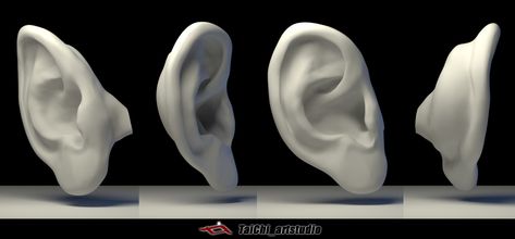 ArtStation - The ears, Tai ji Ears Anatomy, Ear Sculpture, Head Structure, Ear Structure, Ear Anatomy, How To Draw Ears, 3d Karakter, Head Anatomy, Face Anatomy