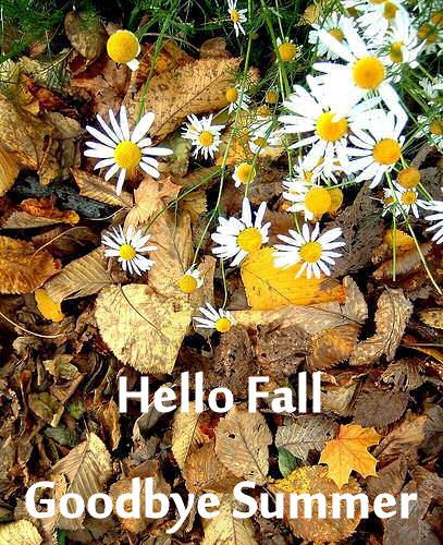 Hello Fall n Good bye Summer hello fall fall. quotes Good Bye Summer, Goodbye Summer Hello Fall, Seasons Months, Fall Quotes, Hello April, Hello Goodbye, Goodbye Summer, Days And Months, Good Bye