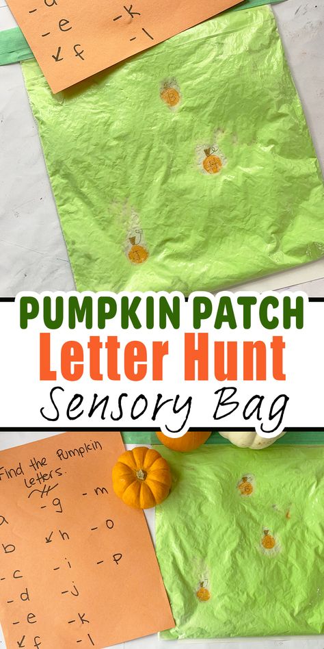 Pumpkin Patch Activities Preschool, Fall Sensory Bags, Halloween Sensory Bags, Letter Hunt, Fall Sensory, Toddler Parenting, Abc Phonics, Sensory Bag, Halloween Sensory