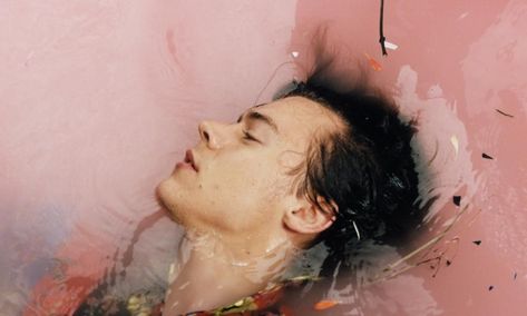 null #amreading #books #wattpad Harry Styles Album Cover, Harry Styles Photoshoot, Harley Weir, Harry Styles Update, Food Illustration Art, Harry Styles Photos, Mr Style, Harry Edward Styles, Edward Styles