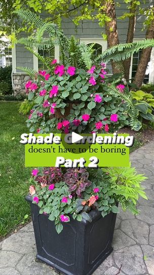 Part 2 ⤵️ Shade gardening doesn’t have to be boring! 🪴 Here is a gorgeous shade container garden idea that will explode your shade garden with color. 🌿 Today I am planting the upper coco liner basket of this two tiered container garden. 🪴 The basket comes with 8 pre cut coco liner holes on the sides.  🌿 Impatiens - Beacon Violet Shades: 🪴 Planting in all 8 holes. Full to part shade. Annual except in gardening zone 10 -11.✂️ Before planting, I am trimming off any leggy stems. This will promote a fuller plant and more blooms. ➡️ Gardening Tip: 🪴 Remove nursery pot and place root ball into a plastic grocery bag. Mush roots together a bit. Then slide through coco liner hole. The plastic bag makes it much easier to get plant through the holes. After the plant root ball is inside basket, r Shade Container Garden, Kimberly Queen Fern, Violet Shades, Shade Gardening, Zone 10, Gardening Zones, Plastic Grocery Bags, Garden Idea, Mary Ann