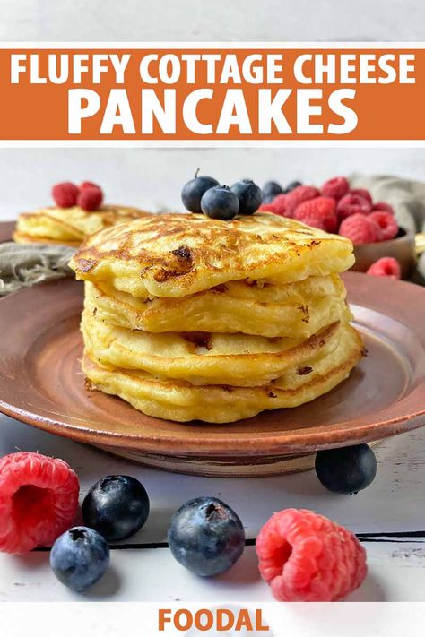 Not sure what to do with extra cottage cheese? Tired of just eating it plain in a bowl? For a delicious breakfast idea, try these fluffy and cheesy homemade pancakes. Serve them with your favorite toppings, like maple syrup and fresh fruit. Learn how to make the recipe now on Foodal. #cottagecheese #pancakes #foodal Cheese Pancakes Recipe, Beet Pancakes, Cottage Cheese Pancakes Recipe, Homemade Cottage Cheese, Cottage Cheese Eggs, Cottage Cheese Pancakes, Cheese Pancakes, Savory Scones, Cottage Cheese Recipes