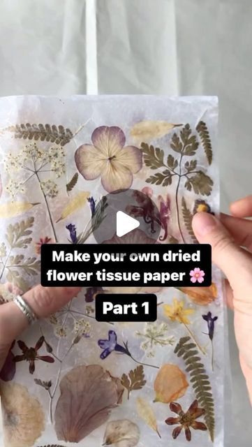 Dried Flower Collage, Dried Flowers Crafts, Crushed Paper, Paper Globe, No Tv, White Tissue Paper, Instead Of Flowers, Dry Branch, Pva Glue