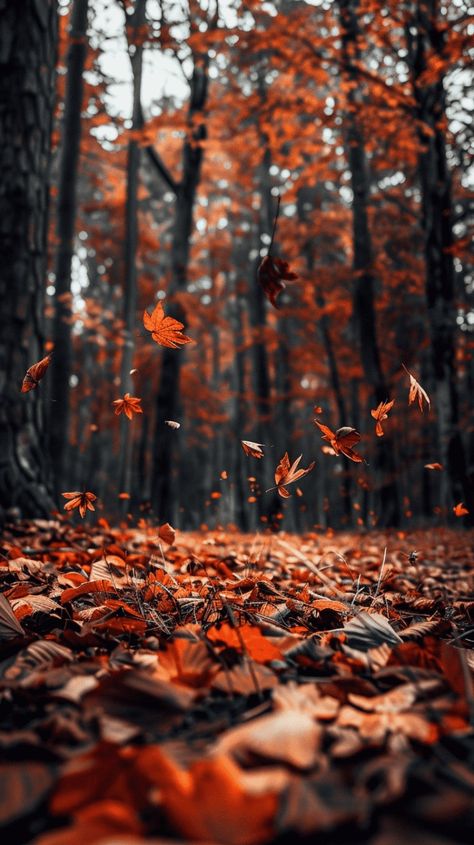 40+ Stunning And Dreamy Fall Phone Wallpapers Hd Fall Wallpaper, Fall Wallpapers Aesthetic, November Backgrounds, Fall Backgrounds Iphone, Autumn Phone Wallpaper, Fall Aesthetics, City Picture, November Wallpaper, Wallpaper Fall