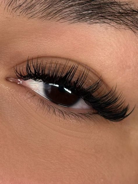 Hybrid | Classic | Cat eye | Natural | Volume | Classic Eyelash Extensions | Hybrid Eyelash Extensions | Volume Eyelash Extensions | Natural Lash Maps | Hybrid Lash Maps | Volume Lash Maps | Open Eye Lash Maps | Doll Eye Lash Maps | Eyelashes | Lash Tech | Lash Technician | Eyelash Tech|Doll eye lashes | Doll eye lash extensions | Doll eye map | Lashes | Lash extensions styles | Lash extensions mapping styles | Lash extensions natural | Lash extensions ideas | Lash extensions styles natural Double Classic Lashes, Wispy Volume Lashes Extensions, Eyelash Extensions Styles For Round Eyes, Hybrid Angel Lashes, Cat Eye Fake Lashes, Almond Eye Eyelash Extensions, Cat Eyelashes Extensions, Hybrid Lash Extensions Styles Doll Eye, Lash Extensions Wispy Cat Eye