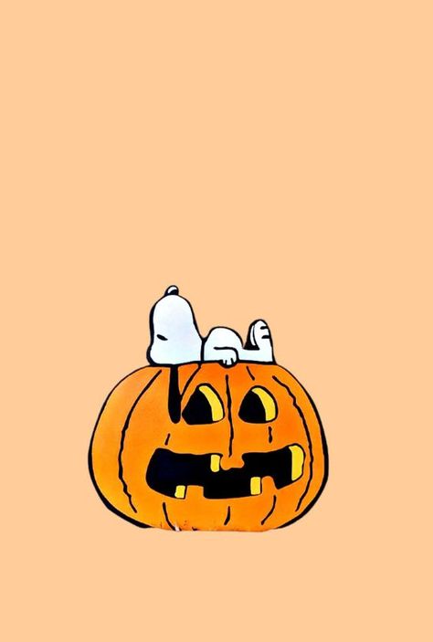 Snoopy Fall Wallpaper – Charlie Brown Halloween Pumpkin Wallpaper Halloween Wallpaper Iphone - davidreed.co Snoopy Laying On Pumpkin, Snoopy October Wallpaper, Fall Peanuts Aesthetic, Simplistic Halloween Wallpaper, Snoopy On Pumpkin, Cute Halloween Wallpaper Snoopy, Fall Wallpaper Cute Cartoon, Cute Fall Pictures Backgrounds, Cute Fall Snoopy Wallpaper