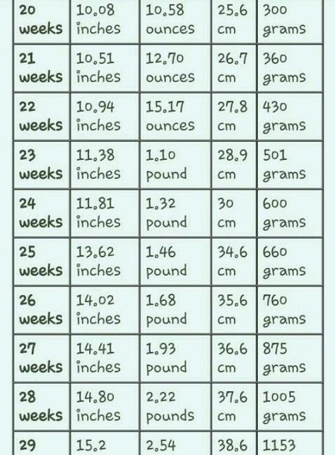 growth spurt chart weeks 20-29 Growth Spurt Chart, 30 Weeks Pregnant Baby, Gender Prediction Chart, Pregnancy Chart, Early Signs Of Pregnancy, Ivf Procedure, Baby Growth Chart, Pregnancy Facts, 30 Weeks Pregnant