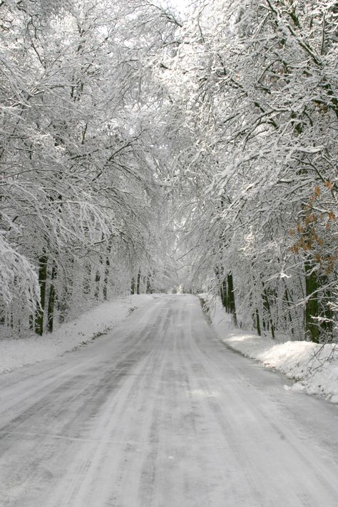 #Trails become a winter wonderland for part of the year – Vilas County, #Wisconsin Winter In Wisconsin, Snowmobile Tattoo, Wisconsin Aesthetic, Northwoods Wisconsin, Christmas Moodboard, Wisconsin Pride, Wisconsin Winter, Beautiful Scenery Photography, Winter Woods