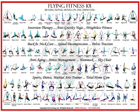 You can get into a seemingly endless amount of positions on the right yoga swing.  Click on the image to see Tone's website. Door Yoga Hammock, Trapeze Poses, Yoga Trapeze Exercises, Aerial Workout, Arial Silk, Ariel Silks, Anti Gravity Yoga, Flying Yoga, Yoga Trapeze