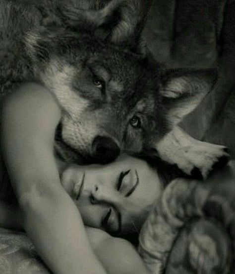 Lone Wolf Quotes, Wolves And Women, Wolf Stuff, Fantasy Wolf, Wolf Quotes, Wolf Spirit Animal, Wolf Love, Wolf Pictures, Beautiful Wolves