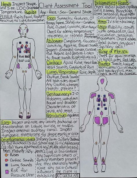 Head to toe assessment cheat sheet Nursing Study Tips, Nursing Cheat Sheet, Nursing Information, Nursing Cheat, Nursing Assessment, Nursing School Survival, Fundamentals Of Nursing, Sport Nutrition, Nursing School Studying