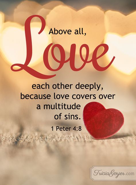 1 Peter 4:8 (NKJV) ~~ And above all things have fervent love for one another, for “love will cover a multitude of sins.”  ~~ Love Each Other Deeply | 1 Peter 4:8 Love One Another Quotes, Vertrouw Op God, 1 Peter 4 8, Love Cover, Ayat Alkitab, Bible Love, Biblical Quotes, Inspirational Bible Verses, Favorite Bible Verses