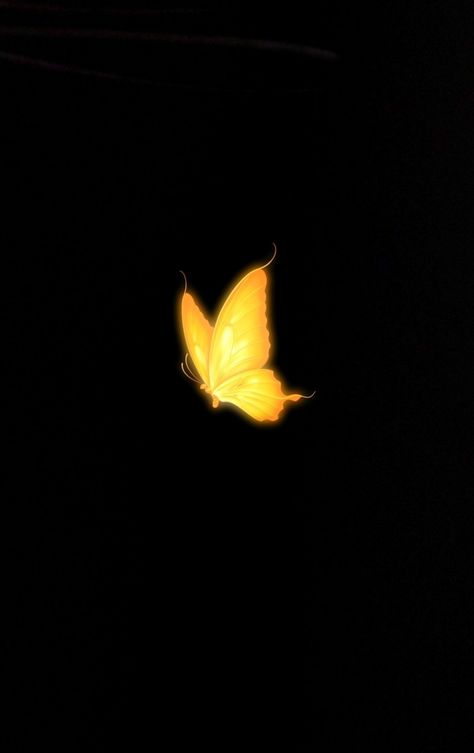 NSB sujon YouTube channel Butterfly Png Editing, Glowing Butterfly Png, Light Png Hd, Pink Moon Wallpaper, Moon Stars Art, Conventional Design, Black And Purple Wallpaper, Victorian Vases, Camera Cartoon