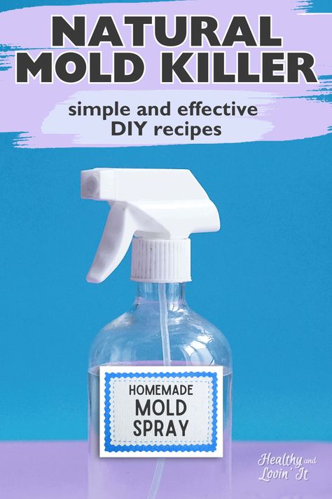 Need a natural mold remover? These DIY mold cleaner recipes are made from natural mold killers like tea tree oil and vinegar. Use these ideas to get rid of mold on leather, wood, and bathroom walls. Mold Remover On Wood, Bathroom Mold Cleaner, Best Mold Remover, Remove Mold From Walls, Diy Mold Remover, Mold Cleaner, Bathroom Mold Remover, Vinegar Cleaning Spray, Mold And Mildew Remover