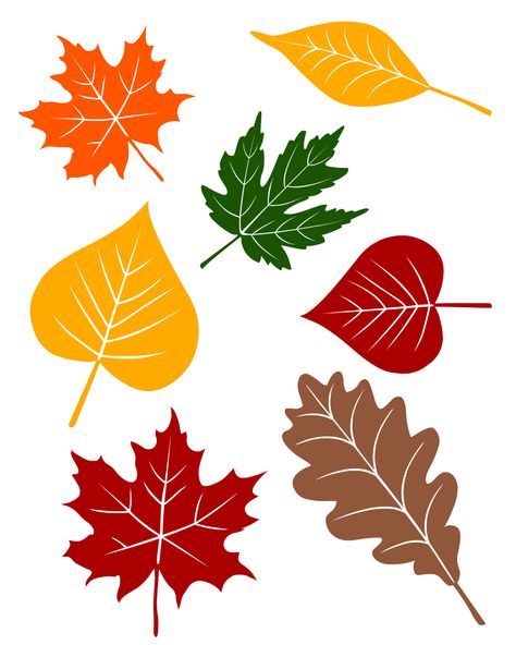 fall leaves printable from no time for flash cards.com Fall Leaf Printouts, Fall Leaves Cutout Template, Autumn Leaves Printable, Autumn Leaves Template, Fall Leaves Printables, Fall Leaves Template Free Printable, Printable Fall Leaves, Leaf Printables, Leaf Template Printable