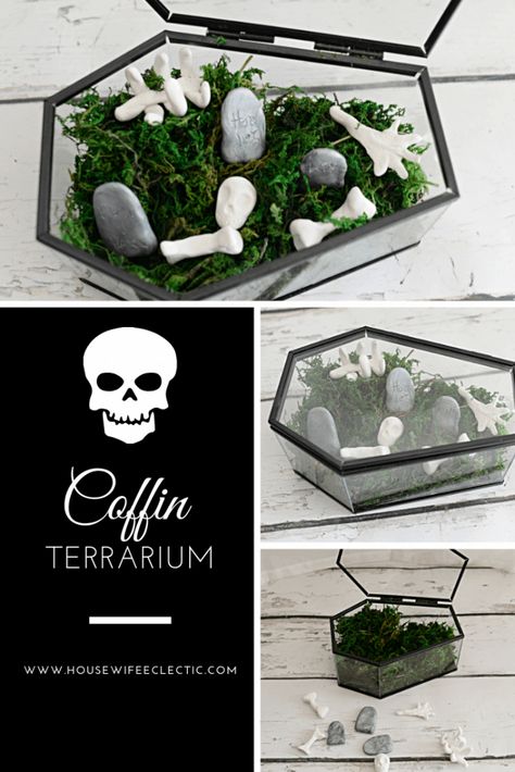 Housewife Eclectic: There are few things I love more than decorating for Halloween. There is something about spooky skeletons that speak to my soul. It is the time a year I create and post more than any other because I am simply passionate about what I am making. I am SO excited to bring you my first Halloween post of the year. Glass Coffin Terrarium Ideas, Cemetarium Moss Terrarium, Glass Coffin Decor, Gothic Terrarium Ideas, Coffin Terrarium Ideas, Glass Coffin Terrarium, Coffin Crafts, Coffin Terrarium, Halloween Terrarium