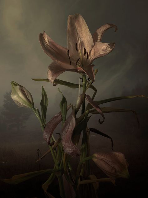 Wilted Flowers Aesthetic Dark, Rotten Flowers, Lilies Aesthetic, Painting Reference Photos, Flowers Wilting, Wilting Flowers, Peace Lily Flower, Cute Hijab Cartoon Wallpaper, Gilded Lily