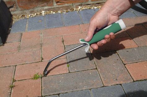 Cleaning Pavers, Weeder Tool, Brick Yard, How To Clean Brick, Brick Paver Patio, Clean Patio, Cement Patio, Brick Paving, Brick Pavers