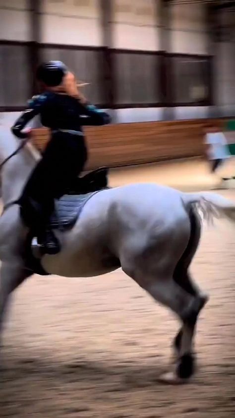 Horses Bucking People Off, Horse Jumping Fails, Horse Riding Fails Videos, People Falling Off Horses, Naveen Richard, Horse Riding Fails, Falling Off Horse, Cavalli Video, Horse Videos Jumping