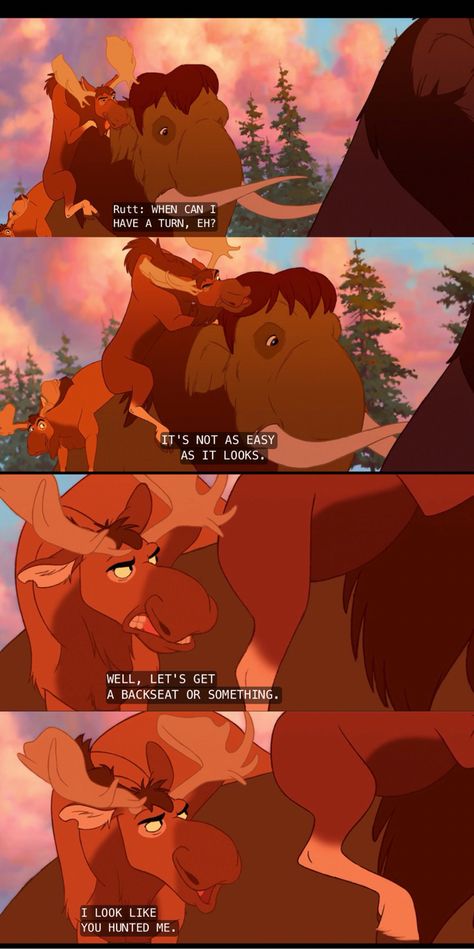 Brother Bear quotes- This movie is so underrated Brother Bear Fanart, Brother Bear Quotes, Cute Cartoon Quotes, Bear Quotes, Brother Bear, Real Funny, Funny Bears, Cartoon Quotes, Disney Stuff