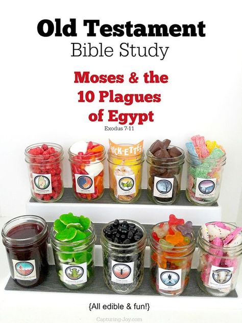 Old Testament Bible Study Moses and the 10 Plagues of Egypt, edible and fun! Capturing-Joy.com Exodus Plagues Craft, Moses Bible Lesson, 12 Plagues Of Egypt Craft, Moses Object Lesson, Ten Plagues Activity, Bible Sensory Activities, Moses And The Plagues Craft, Ten Plagues Craft, Moses Activities