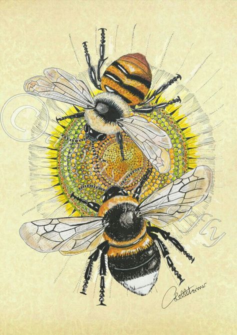 Bee Poster, Making Honey, Bee Artwork, Bee Images, Bee Pictures, Bee Wall Art, Bee Painting, Bee Illustration, Bee Wall