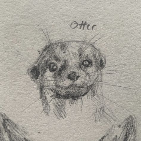 Cute smiling animal drawings of a baby otter. Pencil sketch of the otter on a small scale and is part of a collection of small animal drawings. Creative cute and fluffy animal drawing that you can easily do yourself when you are bored or have art block. Uk animals that you could draw. Otter Drawing, 흑백 그림, Sketchbook Drawings, Draw Sketch, Arte Sketchbook, Cute Doodle Art, Art Drawings Sketches Creative, Animal Sketches, Blouse Tops