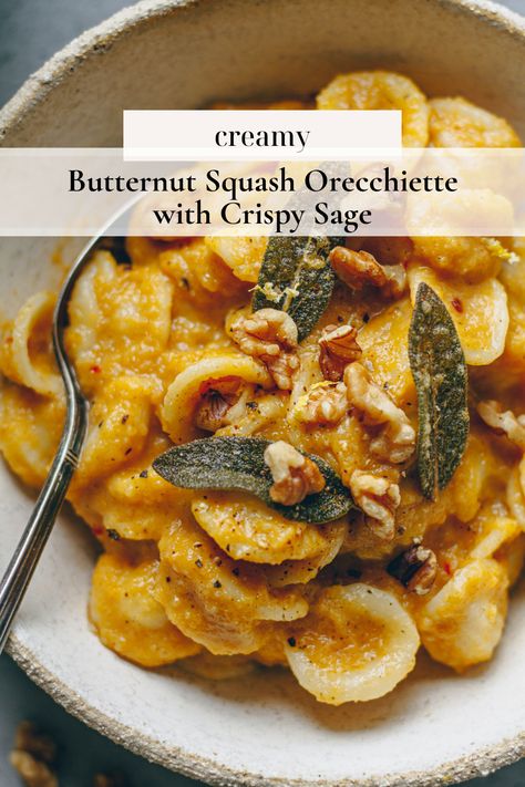 Orecchiette Pasta Recipes, Orecchiette Recipes, Butternut Squash Sage, Squash Sauce, Butternut Squash Sauce, Creamy Butternut Squash, Orecchiette Pasta, Fall Cooking, Tasty Baking