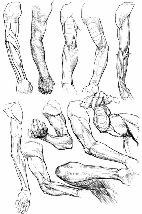 Arm Figure Drawing, Anime Muscles Reference, Muscle Hand Reference, Muscle Anatomy Pose, Arm Art Anatomy, Hand Muscles Anatomy Drawing, Male Arms Anatomy, Muscle Study Reference, Muscled Arm Reference