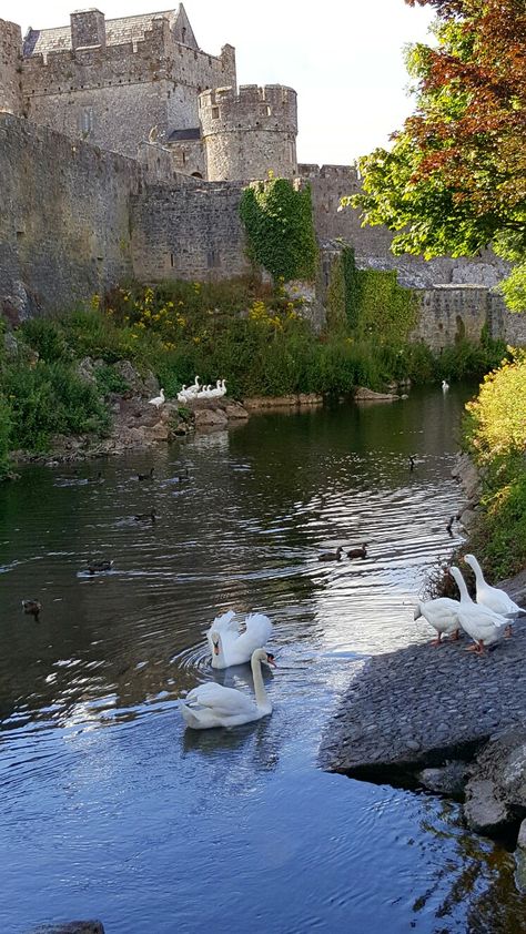 Seahouses Northumberland, Cahir Castle, Tipperary Ireland, Magical Landscape, Uk Trip, Uk Travel, Enchanted, Scotland, Vision Board