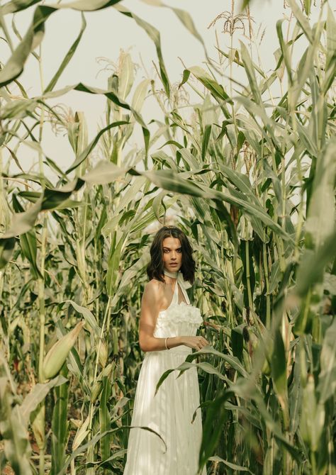 Farm Photo Shoot Ideas, Cornfields Photography, Farm Poses, Wheat Photoshoot, Cornfield Photoshoot, Corn Field Photoshoot, Corn Field Pictures, Farm Photoshoot, Farm Photoshoot Ideas