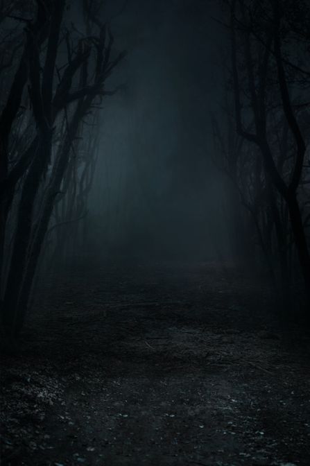 Dark Scary Forest Aesthetic, Horror Forest Background, Dark Forest Aesthetic Night, Horror Background Dark, Creepy Forest Background, Forest Book Cover, Wattpad Covers Ideas, Dark Forest Background, Horror Forest