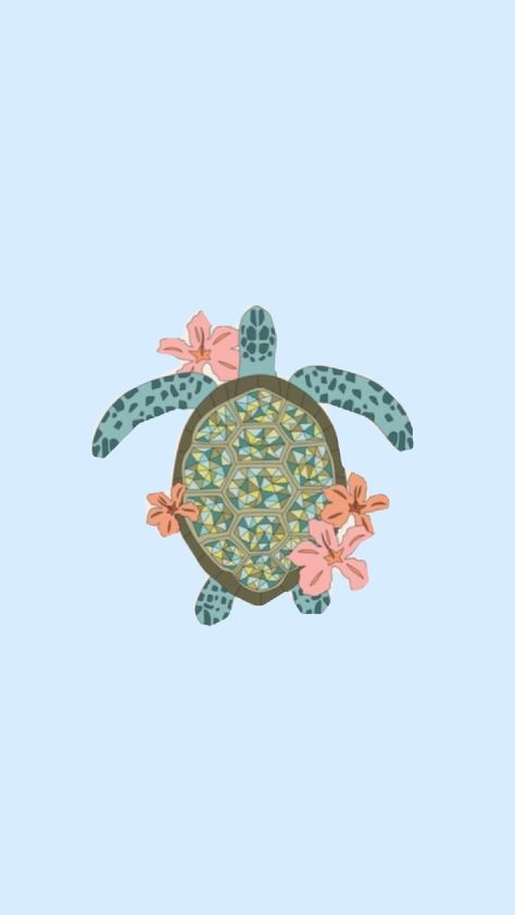 Cute Wallpapers Turtle, Turtle Phone Wallpaper, Turtle Wallpaper Iphone, Sea Turtle Wallpaper, Turtle Background, Turtle Pictures, Beachy Wallpaper, Sea Turtle Pictures, Turtle Wallpaper