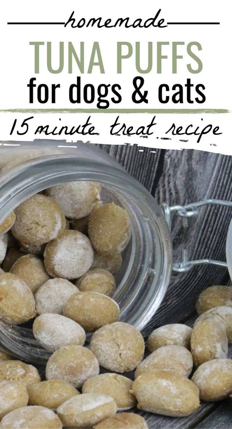 Dog and Cat Treat Recipe: It's hard to find good pet treats in the stores, but the best ones are homemade! Homemade Tuna Puffs are made without questionable ingredients. Pumpkin Cat Treats Homemade, Pet Desserts, Bao Food, Homemade Cat Treats Recipes, Tuna Cat Treats, Pup Treats, Homemade Pet Treats, Animal Treats, Pet Treats Recipes