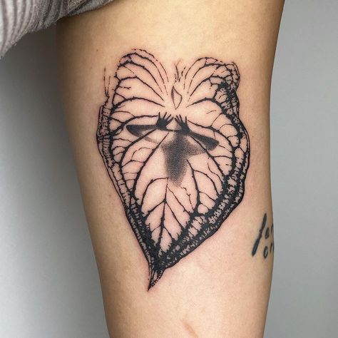 Decomposition Tattoo, Caladium Tattoo, Atomically Heart Tattoo, Atom Tattoo, Soft Tattoo, Choose Her, Armband Tattoos, Why Her, Spooky Tattoos