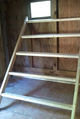 Field Mice, Chicken Roost, Easy Chicken Coop, Chicken Life, Chicken Coop Designs, Crazy Chicken Lady, Keeping Chickens, Building A Chicken Coop, Chicken Coop Plans