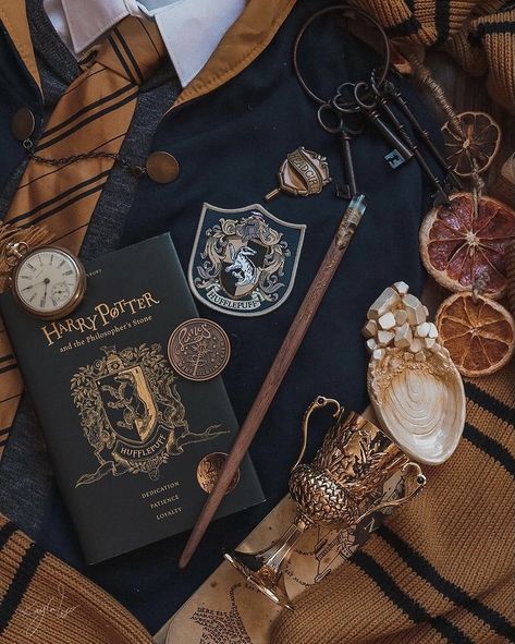 Hufflepuff Aesthetic, Harry Potter Book, Harry Potter Items, Harry Potter Hufflepuff, Harry Potter Halloween, Images Harry Potter, Harry Potter Draco Malfoy, Hogwarts Aesthetic, Harry Potter Room