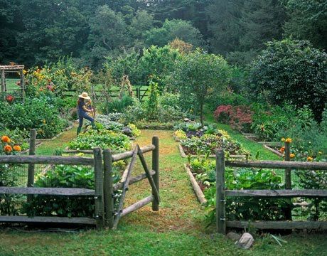 French Cottage Garden, Plantarea Legumelor, Kebun Herbal, Potager Garden, The Secret Garden, Vegetable Garden Design, Garden Tours, Plants And Flowers, Garden Care