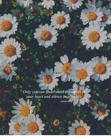 #coolbackground #aesthetic #aestheticbackground #flower #thoughts #quotes Wallpaper Backgrounds Flowers, Backgrounds Flowers, Flowers Quotes, Flower Background, The Words, Wallpaper Backgrounds, Best Friend, Quotes