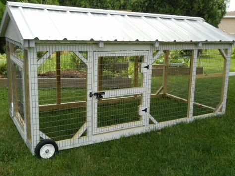 Chicken tractor Moveable Chicken Run Ideas, Cattle Panel Chicken Tractor, Simple Chicken Tractor, Mobile Chicken Tractor, Chicken Tractor Coop, Mobile Chicken Coop Diy, Chicken Cage Ideas, Large Chicken Tractor, Chicken Tractor Ideas