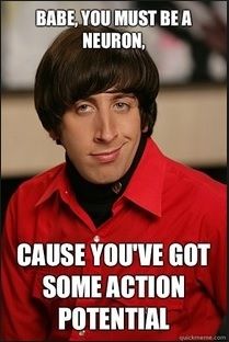 You must be a neuron. Big Bang Theory Memes, Howard Wolowitz, Sup Girl, Dik Dik, The Bigbang Theory, Funny Pick, Pick Up Lines Cheesy, Pick Up Lines Funny, Pickup Lines