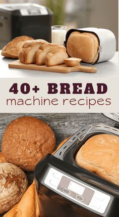 Yeast Bread Machine Recipes, Breadmaker Recipes, Hearty Bread, Easy Bread Machine Recipes, Best Bread Machine, Bread Machine Recipe, Dog Bread, Bread Maker Recipes, Edible Crafts