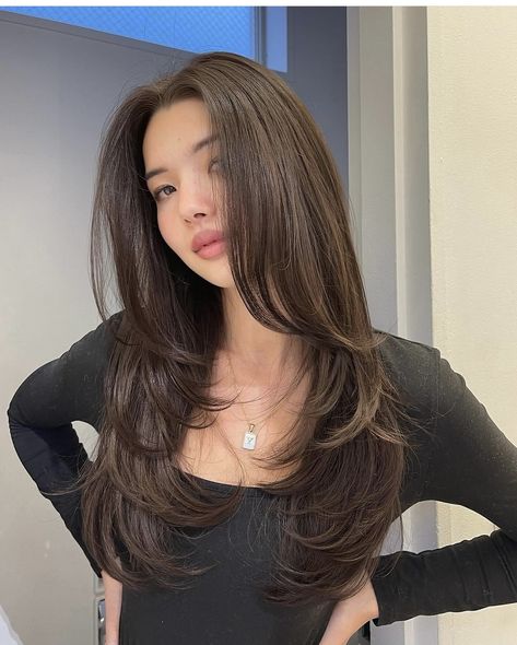 Long Wispy Side Bangs, Layered Hair Without Bangs, Long Layers Asian Hair, Layered Thin Hair, Korean Long Layered Haircut, Front Layers Long Hair, Long Front Bangs, Butterfly Haircut, Haircuts For Long Hair With Layers