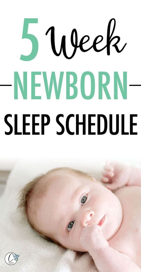 5 Week Newborn Sleep Schedule | Find out how to get your baby to sleep longer stretches at night with this sample baby sleep schedule. You'll also see what a feeding schedule for a newborn looks like and the tools you need to help your baby sleep. #babytips #babysleep Baby Schlafplan, Baby Sleep Regression, Baby Sleep Consultant, Newborn Sleep Schedule, Newborn Tips, Sleep Guide, Newborn Schedule, Baby Feeding Schedule, Newborn Feeding