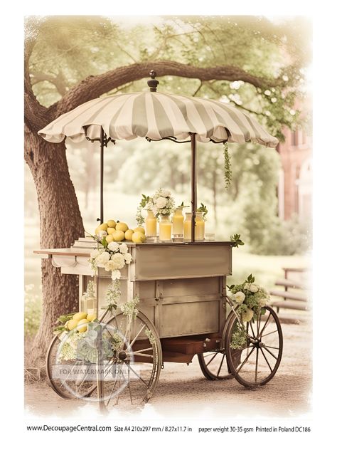 This special design is exclusively Decoupage Central. Size A4. 8.27" x 11.7" Rice Paper Professionally printed in Poland Fancy Lemonade Stand, Fancy Lemonade, Country Tea Party, Tea Party Sandwiches Recipes, Vintage Booth Display, Vintage Booth, Cart Design, Coastal Birds, Food Cart Design