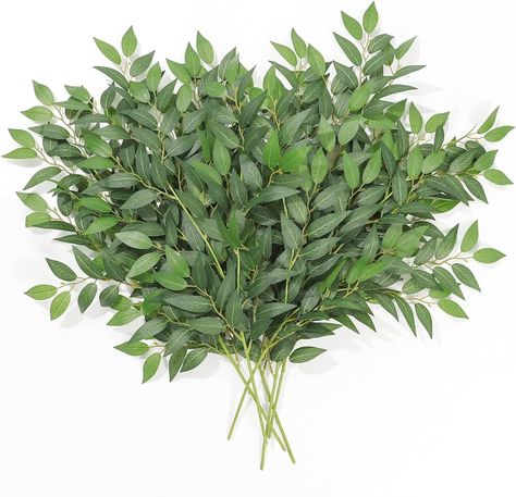 Betylifoy 6 Pcs Italian Ruscus Greenery Stems, Artificial Eucalyptus Branches 26" Fake Plant Artificial Plants for Spring Home Office Vase Filler Decor (6, Eucalyptus Branches) : Amazon.ca: Home Italian Ruscus Greenery, Ruscus Greenery, Plants For Home Office, Italian Ruscus, Plants For Home, Classic Wedding Decorations, Wedding Chair Decorations, Eucalyptus Branches, Artificial Eucalyptus