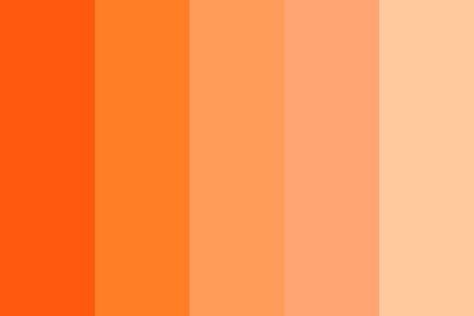 Orange Creamsicle Color Palette Color Palette Orange, Orange Monochrome, Aesthetic Patterns, Orange Palette, Orange Color Schemes, Orange Color Palettes, Orange Creamsicle, Orange Paint, Orange Aesthetic