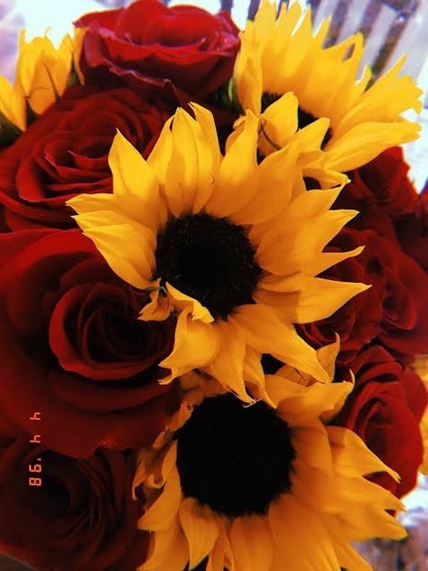 Girassóis Vintage Wallpaper Iphone, Sunflower Iphone Wallpaper, Sunflowers And Roses, Sunflowers Background, Sunflower Bouquets, Sunflower Wallpaper, Trendy Wallpaper, Sunflower Wedding, Nature Plants