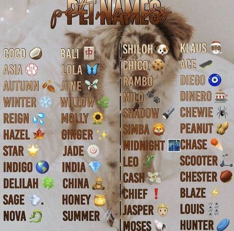 Aesthetic Names For Pets, Pets To Have, Baddie Dog Names, Aesthetic Adopt Me Pet Names, Cutest Puppy Names, Adopt Me Names For Pets, Preppy Adopt Me Pet Names, Cute Names For Stuffed Animals, Unique Animal Names