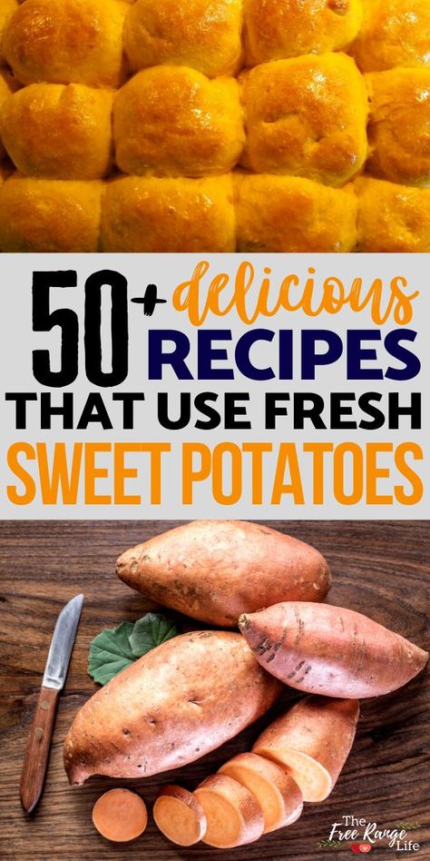 Uses For Sweet Potatoes, Sweet Potato Uses, Recipes With Baked Sweet Potatoes, Canning Sweet Potatoes Recipes, Healthy Sweet Potato Recipes Side Dishes, What Can I Make With Sweet Potatoes, Sweet Potato Canning Recipes, How To Can Sweet Potatoes, Things To Make With Sweet Potatoes